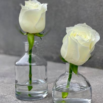 2 Bases Chicas con Rosas