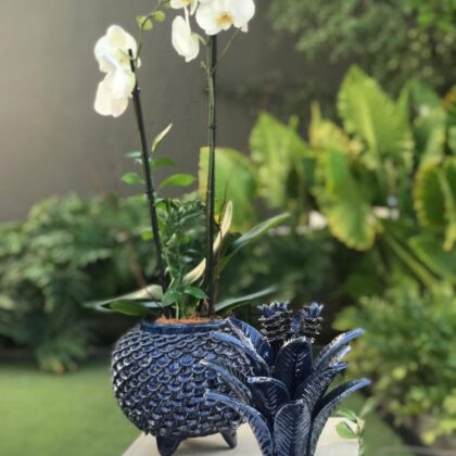 Orquídea en base piña (tapa incluida)