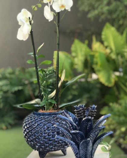Orquídea en base piña (tapa incluida)