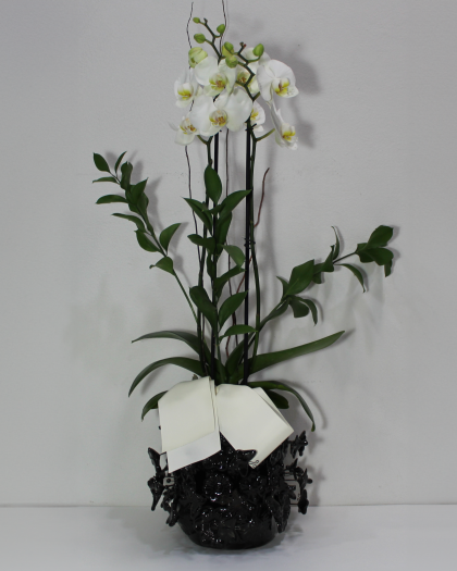 Orquídea en Base Artesanal Mexicana