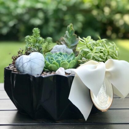 Plantas
