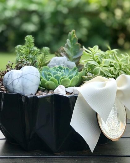 Plantas
