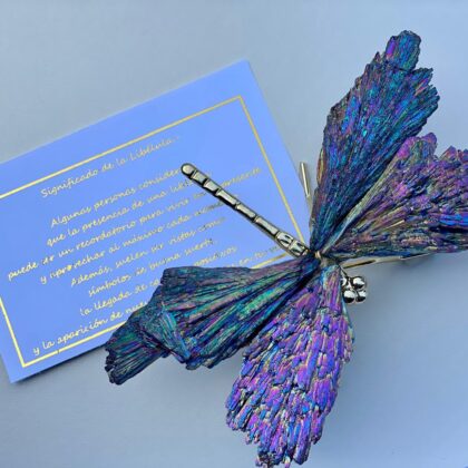 Libélula con Piedra Laja