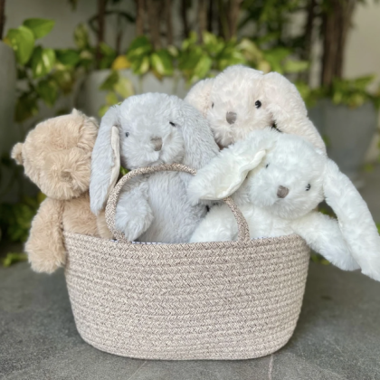 Canasta con Peluche