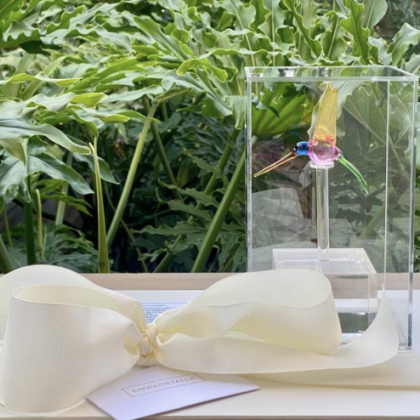 Colibri mediano en capelo