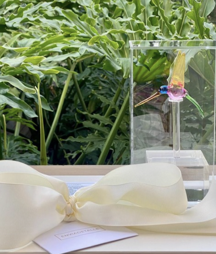 Colibri mediano en capelo