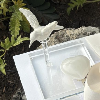 Colibrí con corazón