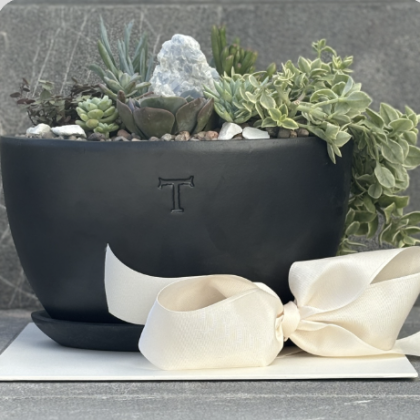 Suculenta en Base Mediana con Plato