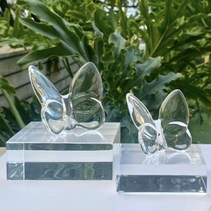 Mariposa Transparente