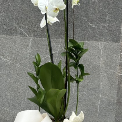 Bowl Cerámico con Diseño y Flores con Orquídea