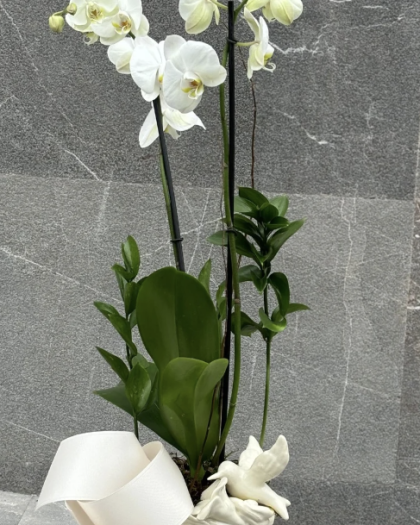 Bowl cerámico con diseño y flores con orquídea