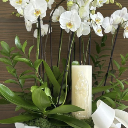 Base Trinitate con Cirio Virgen