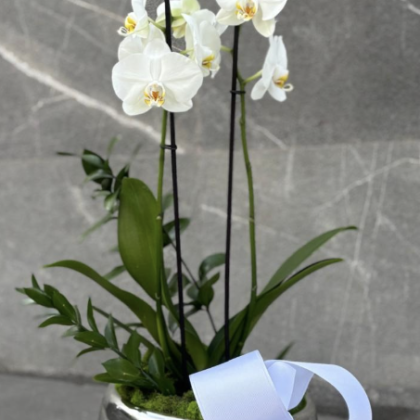 Orquídea en base vidrio soplada