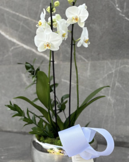 Orquídea en base vidrio soplada