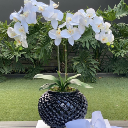 Orquídea Artificial en base mexicana