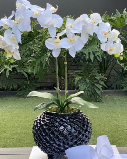 Orquídea artificial en base mexicana