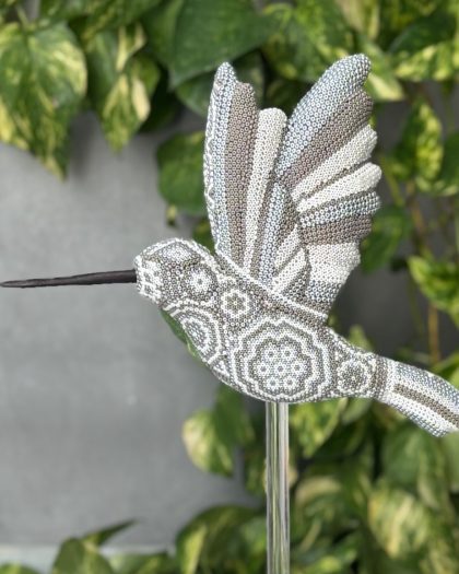 Colibríes