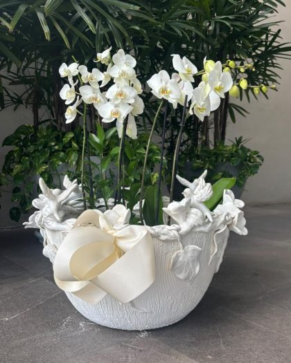 Base extra grande 40*50cms con detalles de colibrí y 2 orquídeas